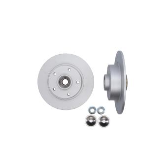 Jeu de 2 disques de frein arrière KAMOKA OEM 432001539R