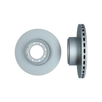 Jeu de 2 disques de frein arrière KAMOKA OEM 2996043