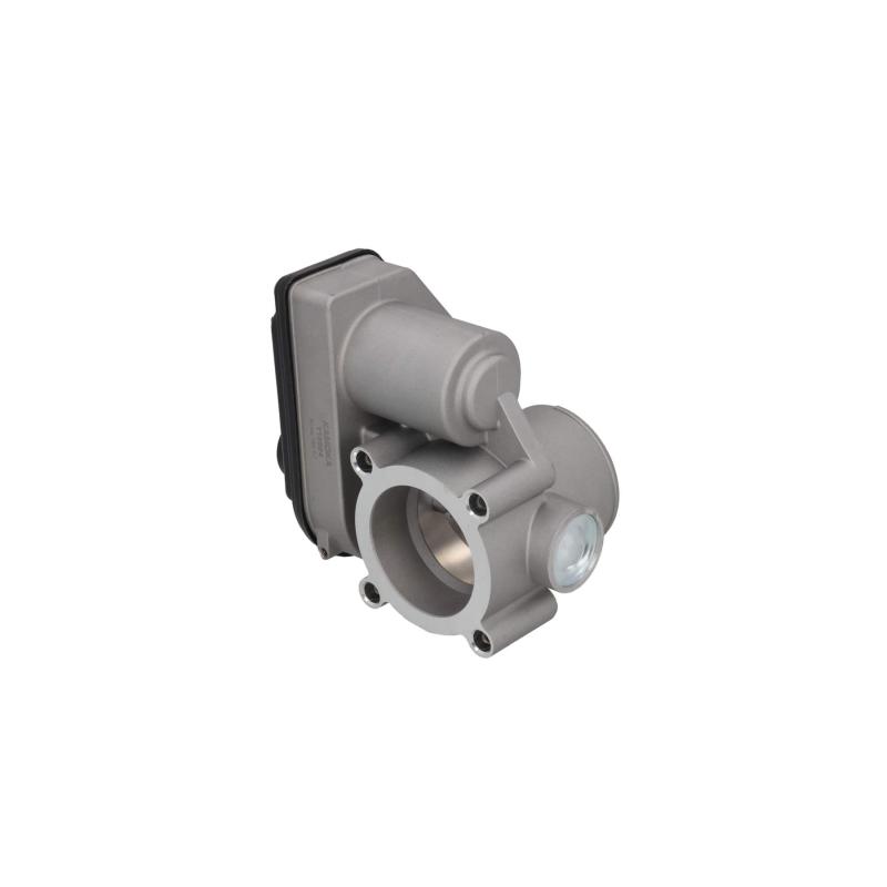 Corps papillon KAMOKA 112024 - Visuel 2