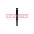 KAMOKA 2001009 - Jeu de 2 amortisseurs arrière