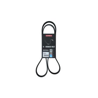 Courroie trapézoïdale à nervures KAMOKA OEM 117205052R