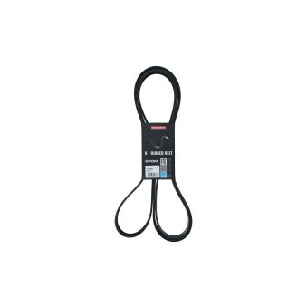 Courroie trapézoïdale à nervures KAMOKA OEM YC1E6C301BB