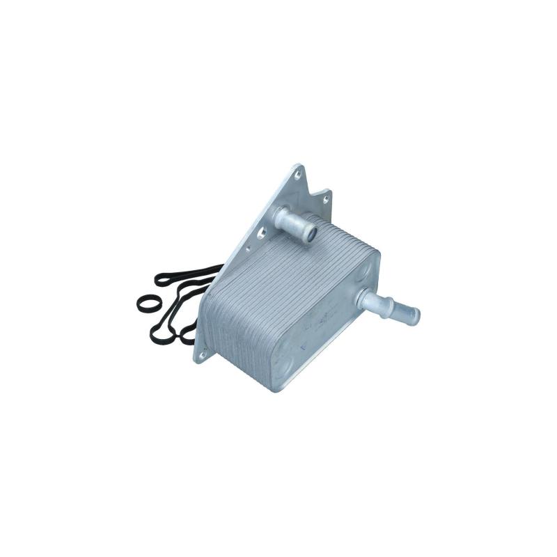 Radiateur d'huile KAMOKA 7730060 - Visuel 1