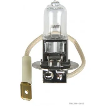 Ampoule, projecteur antibrouillard HERTH+BUSS ELPARTS 89901053