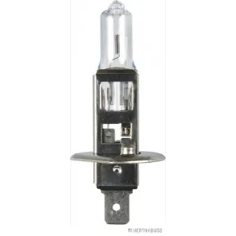 Ampoule, projecteur longue portée HERTH+BUSS ELPARTS OEM V99-84-0012