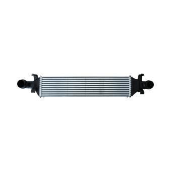 Intercooler, échangeur KAMOKA OEM A2465000100