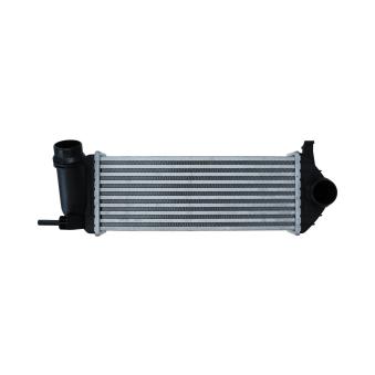 Intercooler, échangeur KAMOKA OEM A4150900114