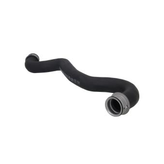 Durite de radiateur KAMOKA OEM 2035015782