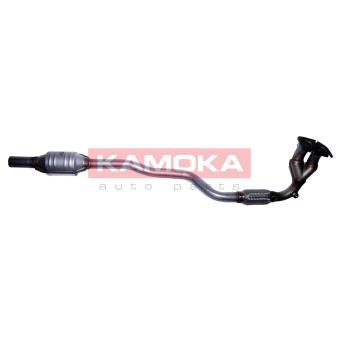 Catalyseur KAMOKA [8015058]
