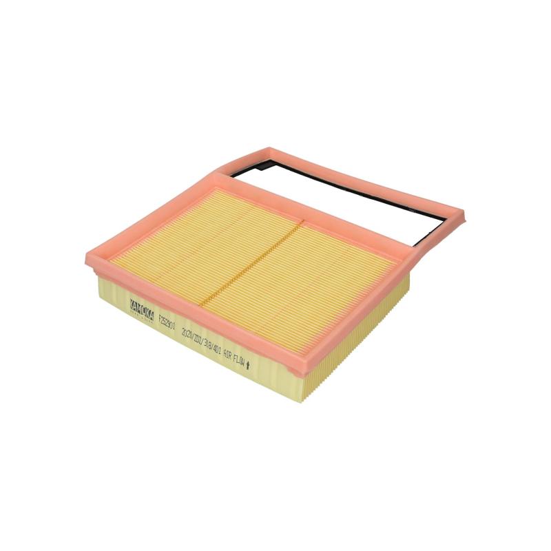 Filtre à air KAMOKA F252901 - Visuel 2