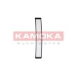 KAMOKA F403901 - Filtre, air de l'habitacle
