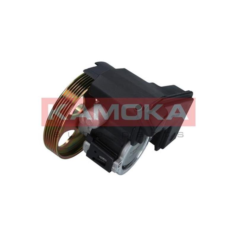 Pompe hydraulique, direction KAMOKA PP166 - Visuel 1