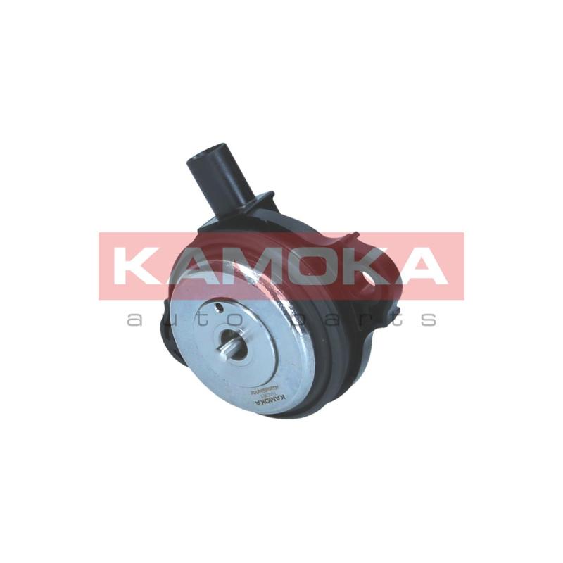 Valve de commande, réglage d'arbres à came KAMOKA RA061 - Visuel 1