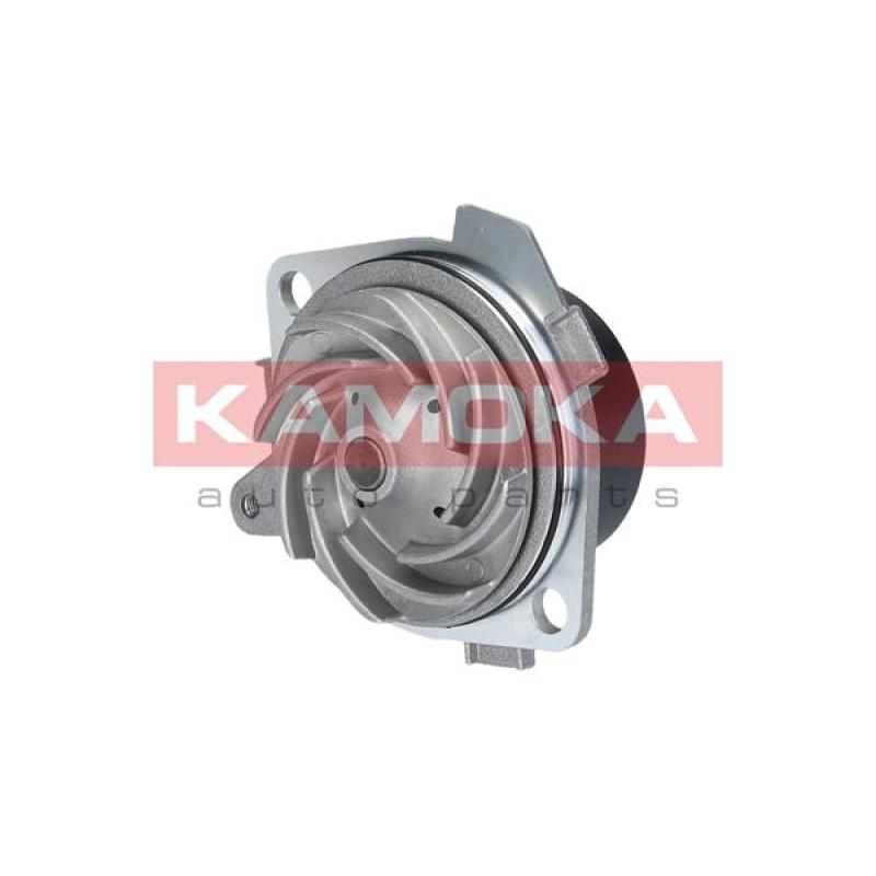 Pompe à eau KAMOKA T0001 - Visuel 1