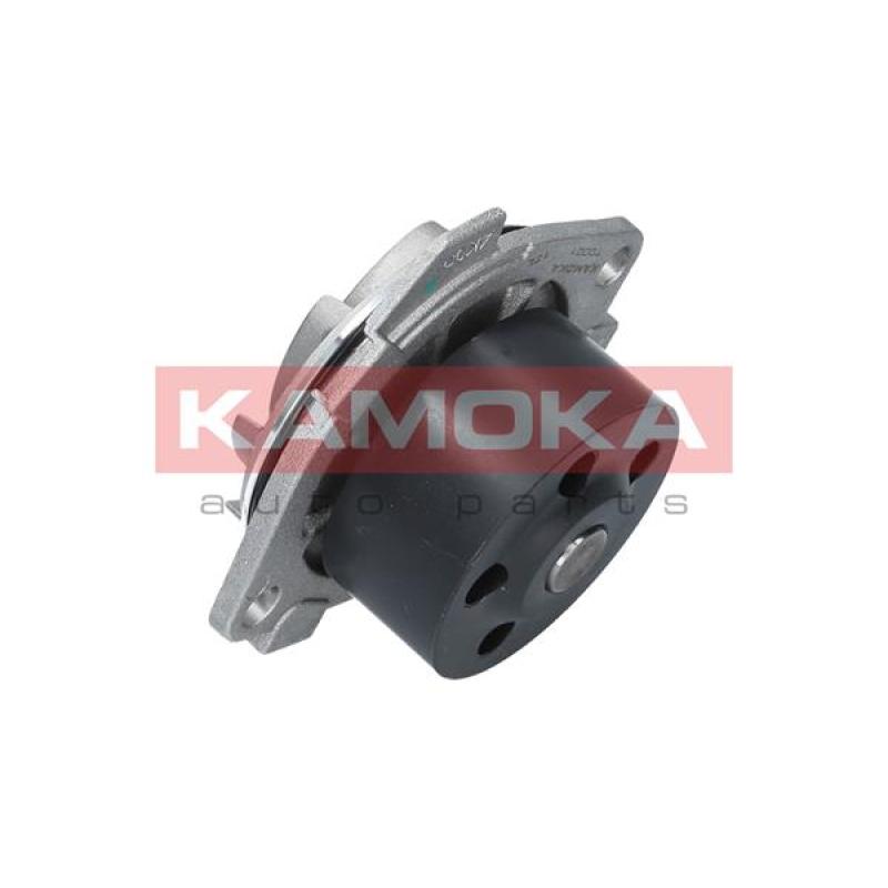 Pompe à eau KAMOKA T0001 - Visuel 2