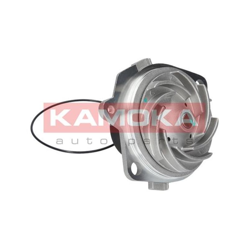 Pompe à eau KAMOKA T0002 - Visuel 2