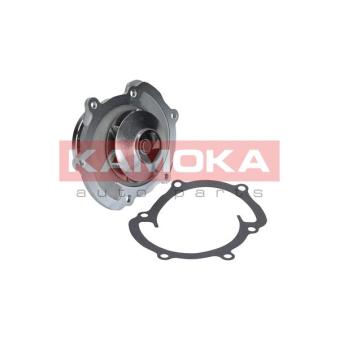Pompe à eau KAMOKA T0008