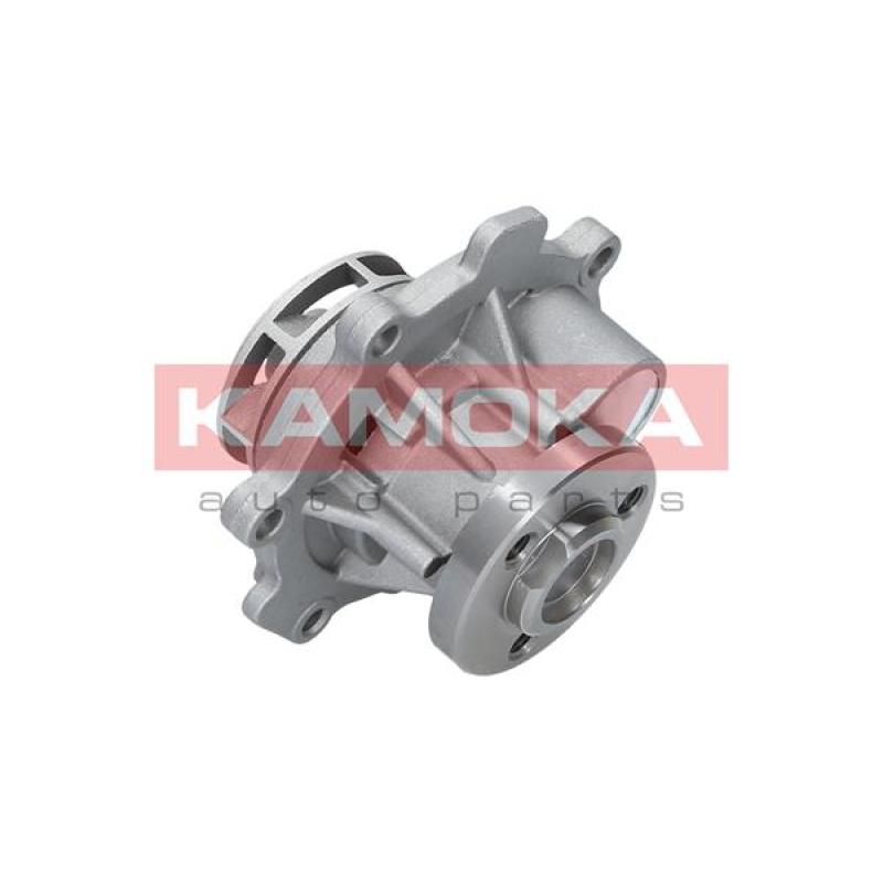 Pompe à eau KAMOKA T0009 - Visuel 2