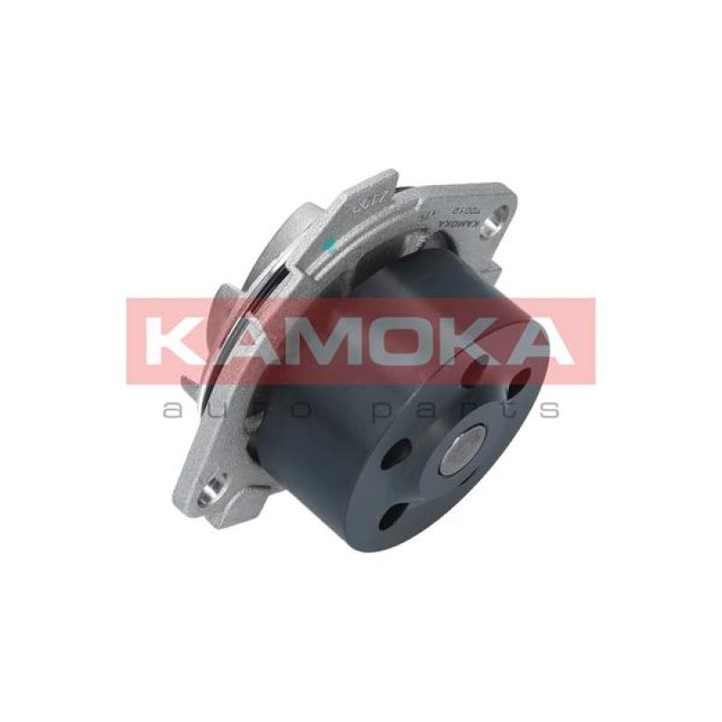 Pompe à eau KAMOKA T0012 - Visuel 2