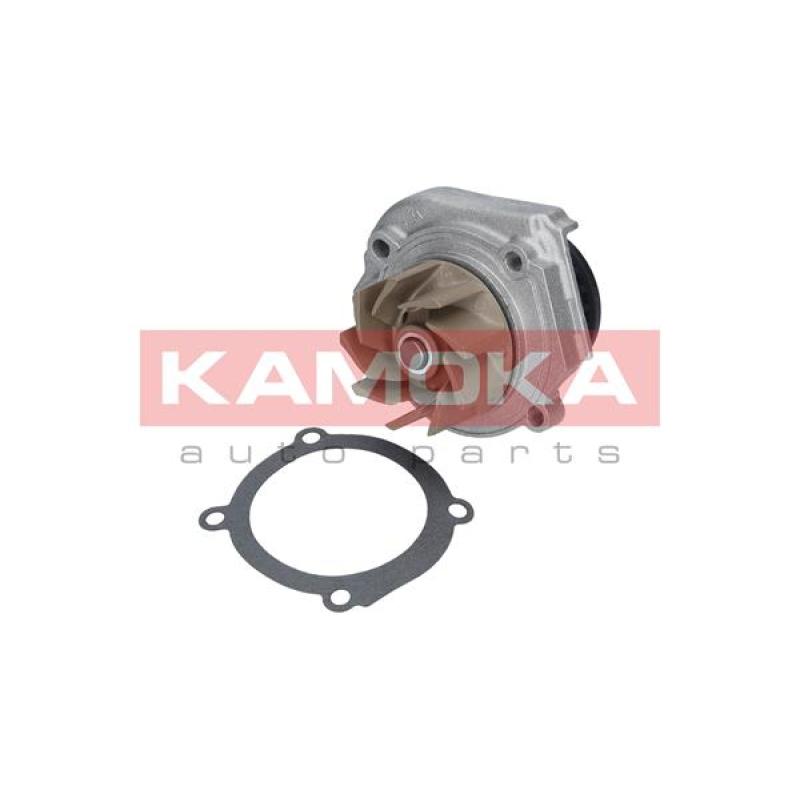 Pompe à eau KAMOKA T0013 - Visuel 1