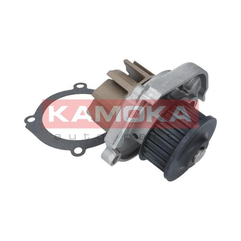 Pompe à eau KAMOKA T0013 - Visuel 2