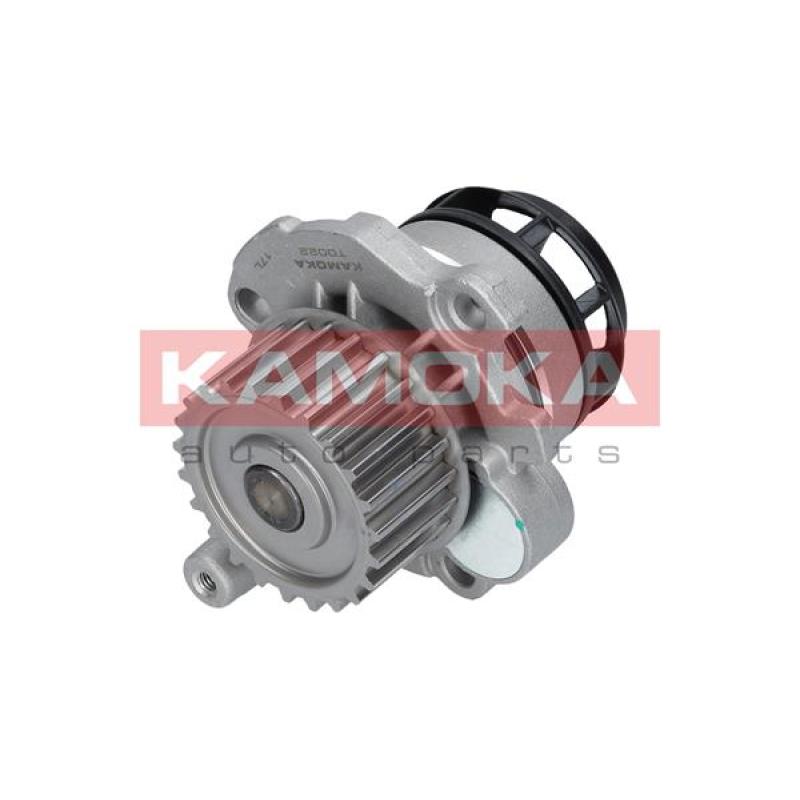 Pompe à eau KAMOKA T0022 - Visuel 2