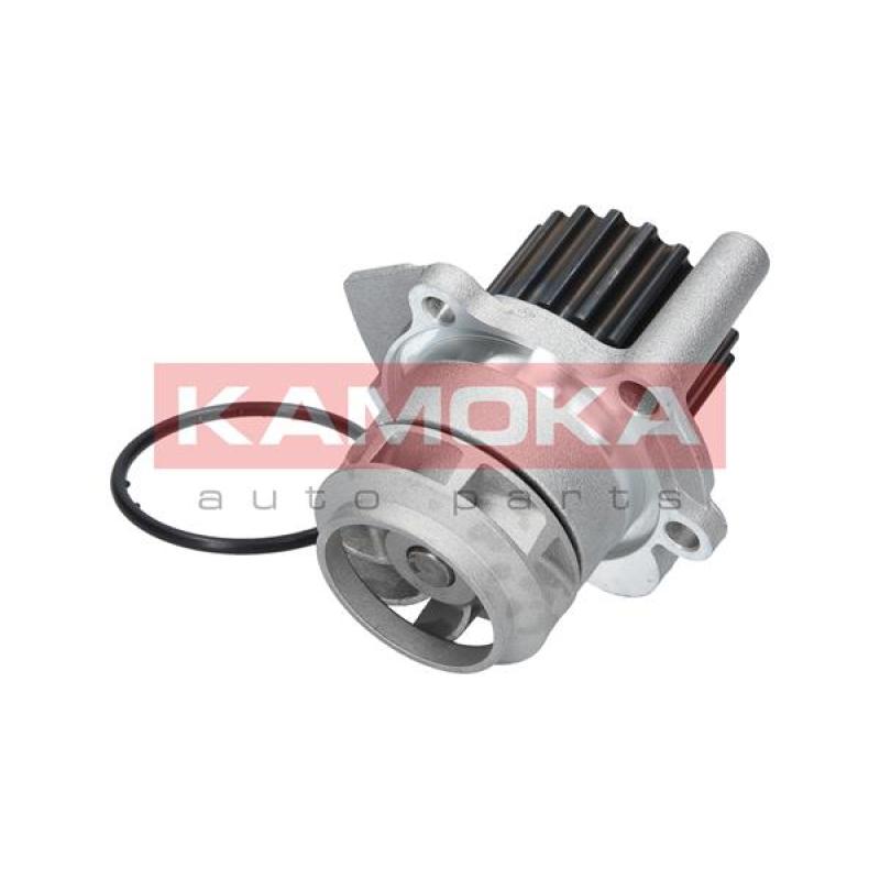 Pompe à eau KAMOKA T0023 - Visuel 2