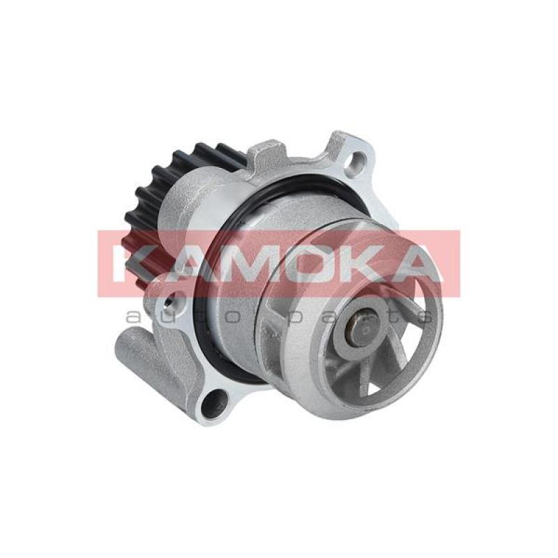 Pompe à eau KAMOKA T0025 - Visuel 1