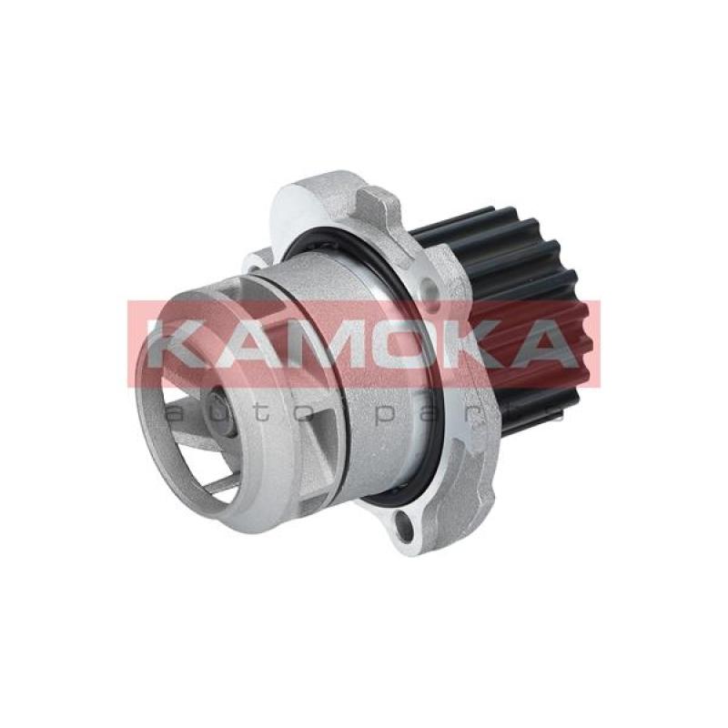 Pompe à eau KAMOKA T0025 - Visuel 2