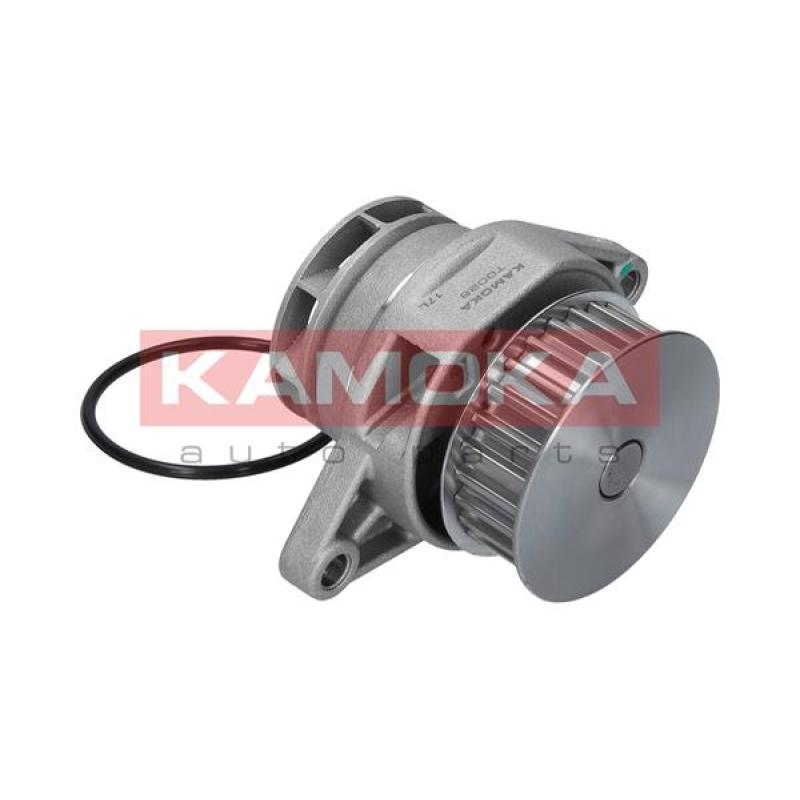 Pompe à eau KAMOKA T0026 - Visuel 2