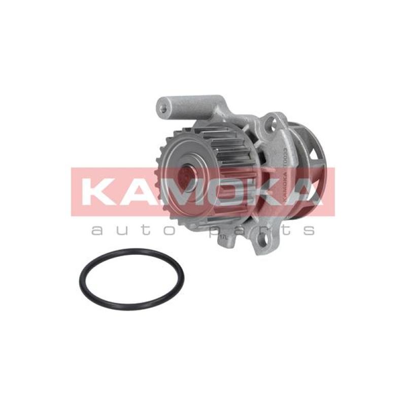 Pompe à eau KAMOKA T0033 - Visuel 1