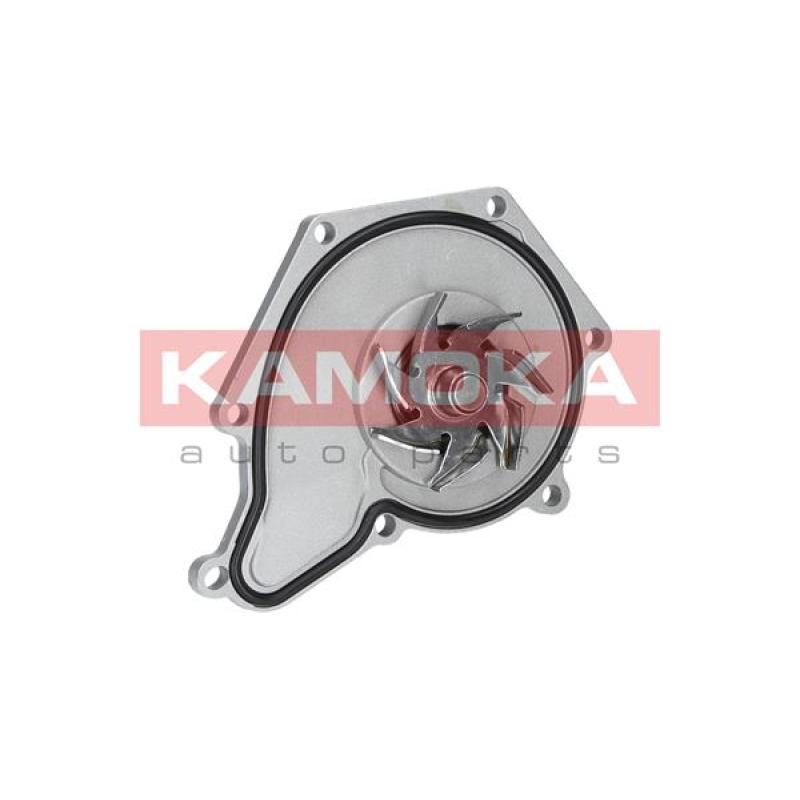 Pompe à eau KAMOKA T0035 - Visuel 1