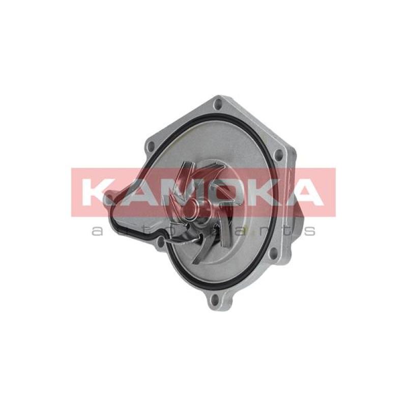 Pompe à eau KAMOKA T0035 - Visuel 2