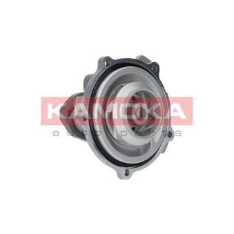 Pompe à eau KAMOKA OEM 028121004V