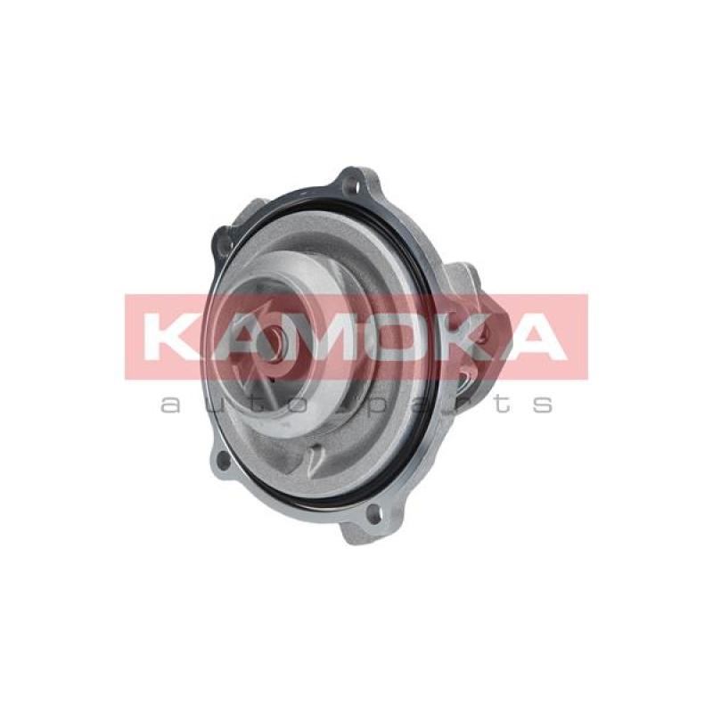 Pompe à eau KAMOKA T0038 - Visuel 1