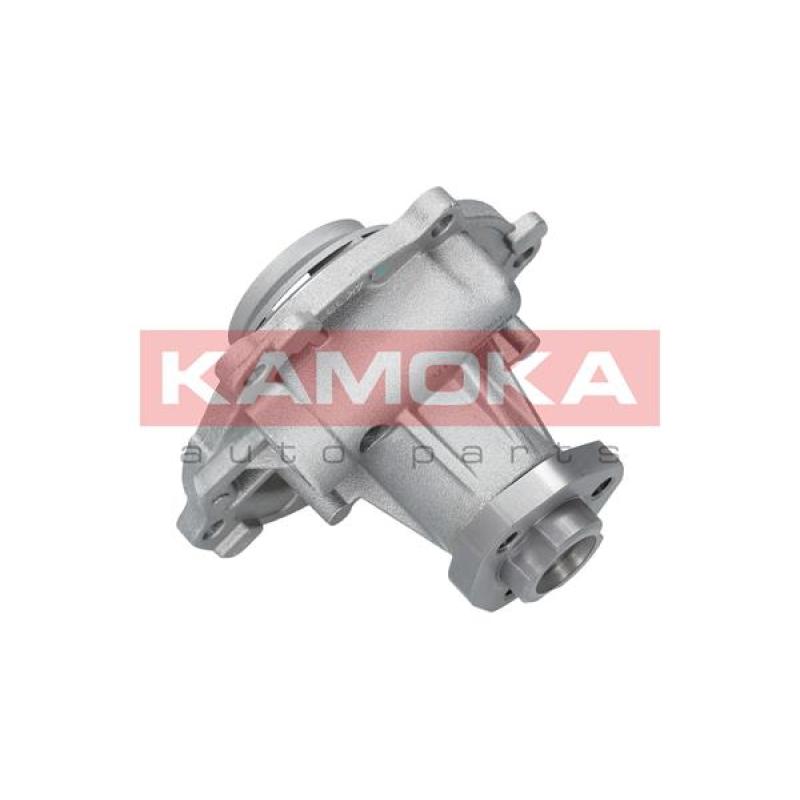 Pompe à eau KAMOKA T0038 - Visuel 2