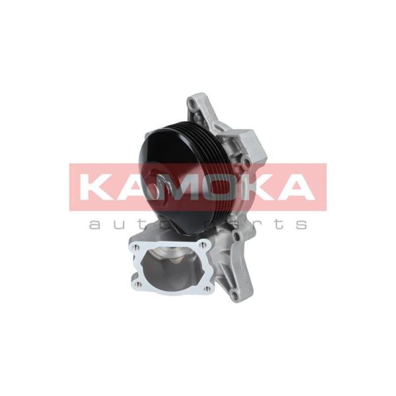 Pompe à eau KAMOKA T0048 - Visuel 2