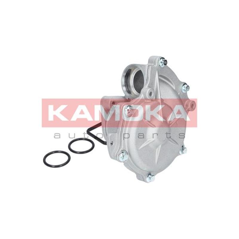 Pompe à eau KAMOKA T0049 - Visuel 2