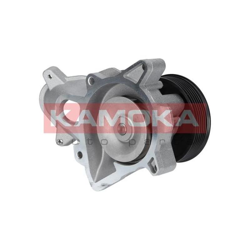 Pompe à eau KAMOKA T0052 - Visuel 2