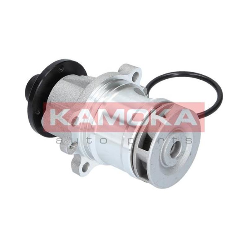 Pompe à eau KAMOKA T0056 - Visuel 2