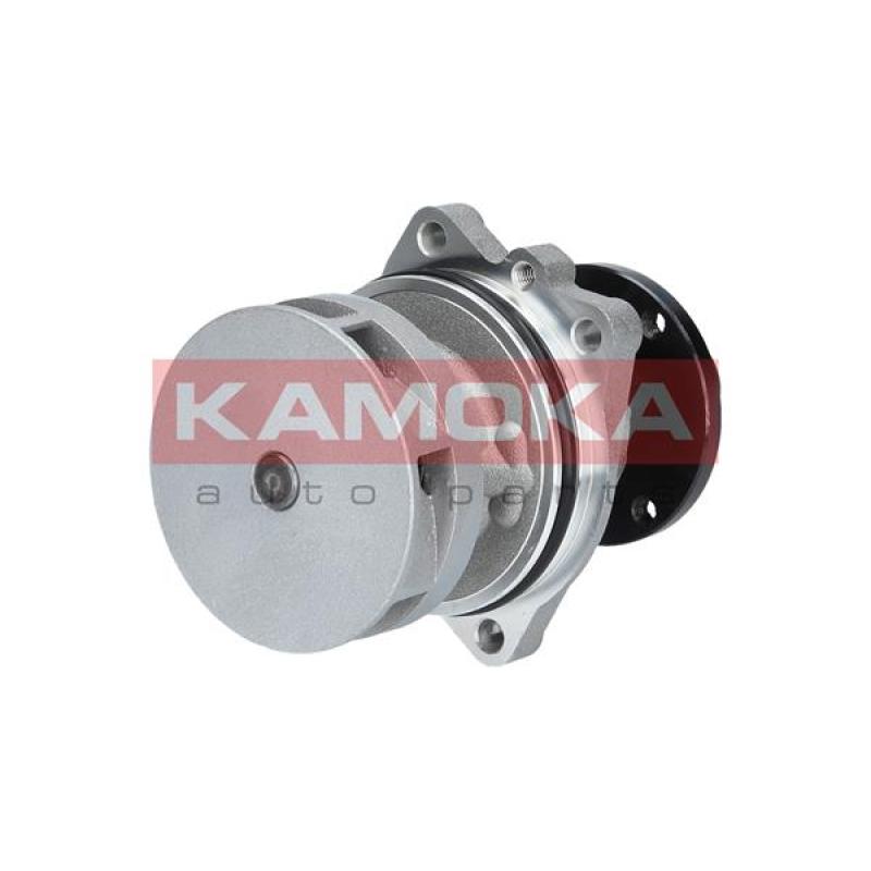 Pompe à eau KAMOKA T0058 - Visuel 1