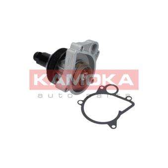 Pompe à eau KAMOKA OEM 7785015 Pompe à eau KAMOKA OEM 7785015