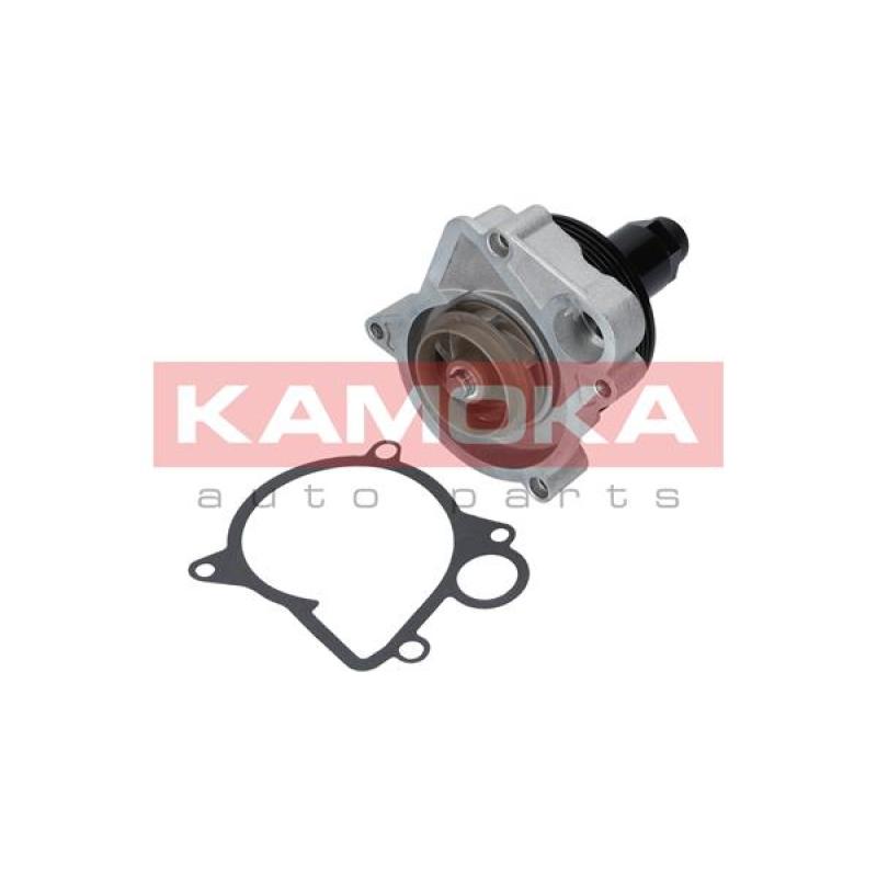 Pompe à eau KAMOKA T0062 - Visuel 1