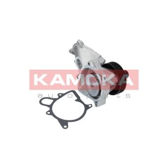 Pompe à eau KAMOKA OEM 7786192 Pompe à eau KAMOKA OEM 7786192