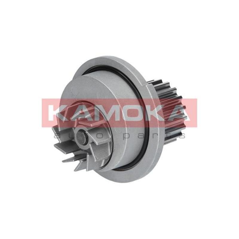 Pompe à eau KAMOKA T0066 - Visuel 1