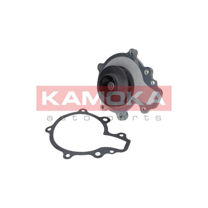 Pompe à eau KAMOKA T0068 - Visuel 1