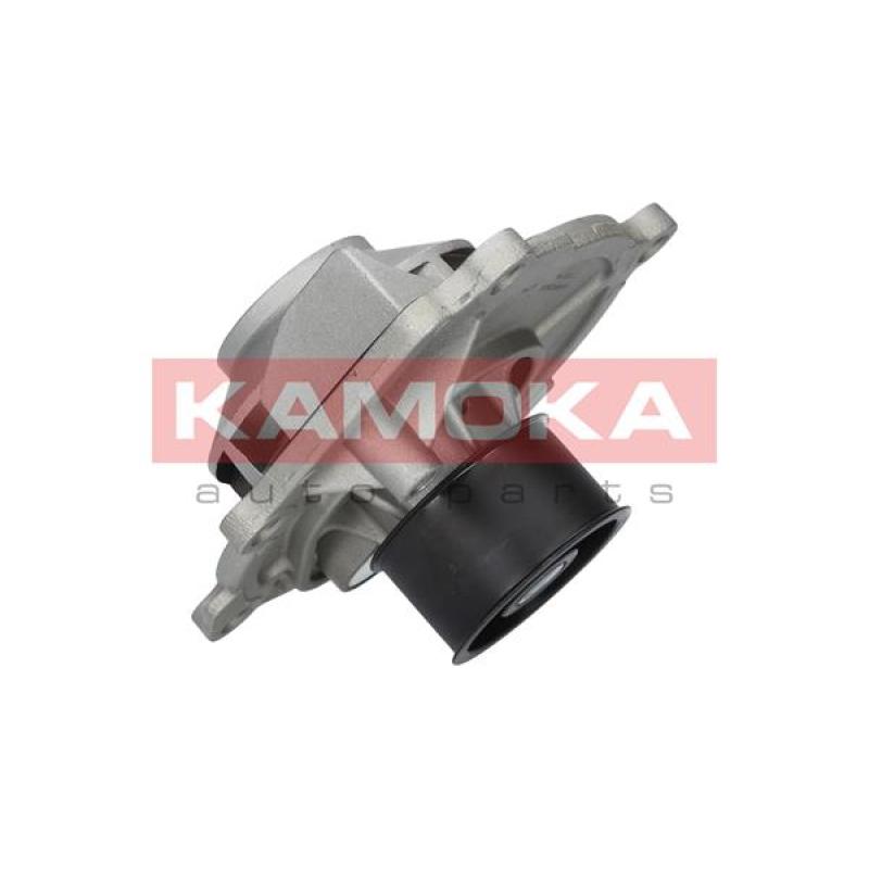 Pompe à eau KAMOKA T0074 - Visuel 2