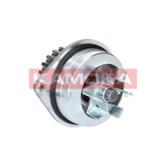 Pompe à eau KAMOKA OEM 120197