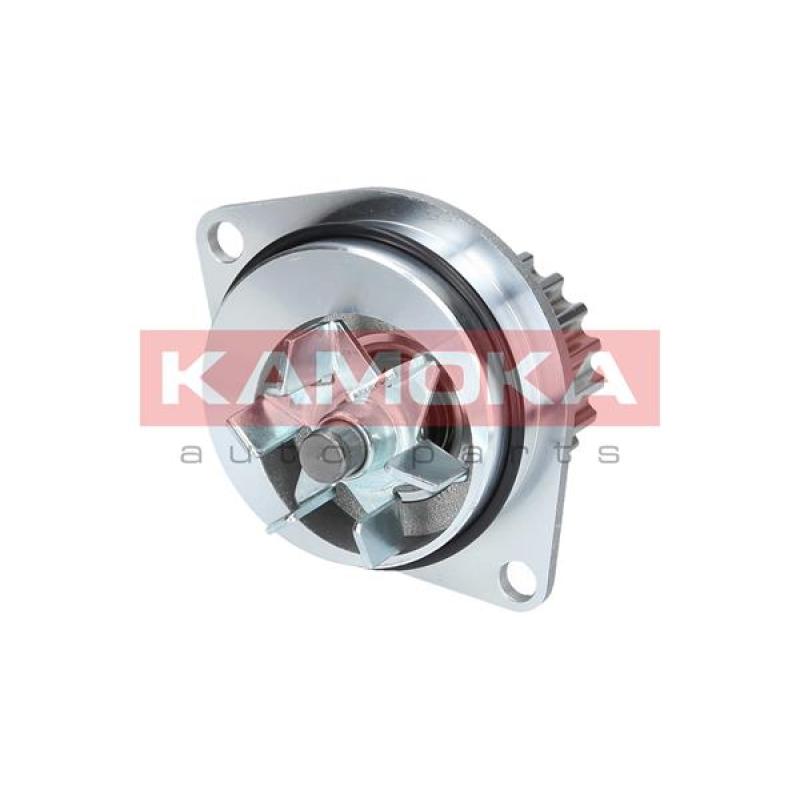 Pompe à eau KAMOKA T0080 - Visuel 1