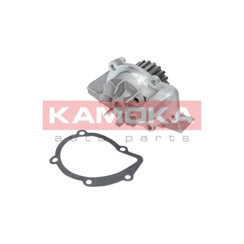 Pompe à eau KAMOKA T0085 - Visuel 1